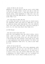 불닭볶음면 국내,글로벌시장 성공요인과 경영전략,마케팅전략,SWOT분석 및 불닭볶음면 향후전략 제시 및 미래전망,나의의견 정리-18