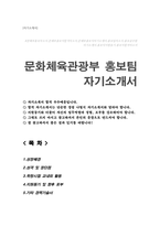 문화체육관광부 홍보팀 자기소개서-1