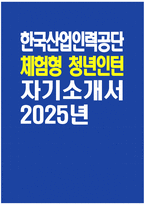 [한국산업인력공단 자기소개서] 2025년 한국산업인력공단 체험형 청년인턴 자소서 합격예문 한국산업인력공단 체험형 청년인턴 자기소개서 한국산업인력공단 자소서 HRDK 자기소개서-1