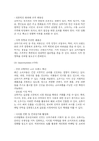 [오뚜기 기업분석] 오뚜기 경영전략,마케팅전략,성공요인 분석 / 오뚜기 SWOT분석 및 성공,실패사례 분석과 향후전략 제시-11