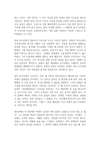 돈키호테 독후감-7