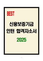 [A+] 신용보증기금 인턴 합격자소서-1