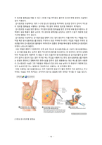임상통합실습 유방암-12