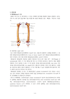 성인건강간호학실습 대퇴골절-4