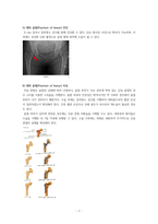 성인건강간호학실습 대퇴골절-7