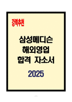 [A+] 삼성메디슨 해외영업 합격자소서-1