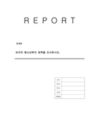 외국의 청소년복지 정책을 조사하시오-1