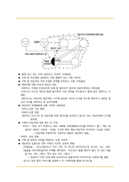 정신간호학 영화 투더본 to the bone 케이스스터디입니다. DSM-5, 간호진단 2개 간호과정 2개 모두 있습니다.-12
