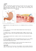 성인간호학실습 케이스스터디 위암 자료 입니다. 간호진단 3개 간호과정 1개 입니다. 꼼꼼한 자료입니다! 침습적 처치와 관련된 감염 위험성 간호과정 있습니다.-1