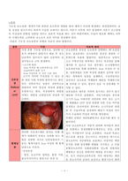여성간호학실습 케이스스터디 자궁내막종 입니다. 간호진단 5개 간호과정 3개 입니다.복합적 요인(수술 통증, 빈혈)과 관련된 낙상 위험성, 복합적 요인(수술 통증, 입원 환경)과 관련된 수면장애, 침습적 처치와 관련된 감염위험성 3가지 간호과정 있습니다. -3