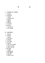[사업계획서] 휴대폰 `튜닝폰` 사업계획서-2