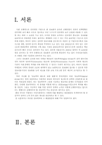 [정보격차] 정보격차 문제점과 해소방안-2