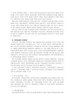 [정보격차] 정보격차 문제점과 해소방안-8