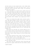 [전자정부] 우리나라 전자정부 추진의 문제점과 대안-3