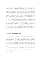[전자정부] 우리나라 전자정부 추진의 문제점과 대안-16