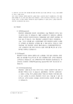 [마케팅비교분석] 노래방기기 `태진미디어`와 `(주)금영`의 마케팅비교-13
