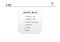[마케팅전략] 엘라스틴 샴푸 마케팅분석-2