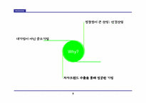 [글로벌브랜드] SJ 서전안경원 국제브랜드전략-4