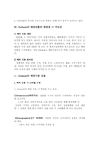 [국제경영] 아웃백 `Outback`의 해외시장진출-7
