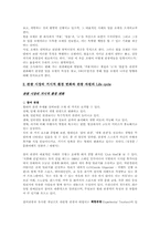 [관광자원론]얼음 호텔(ICE HOTEL)의 정의와 SWOT 분석-2