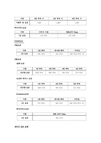 [관광자원론]얼음 호텔(ICE HOTEL)의 정의와 SWOT 분석-8