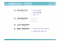 [마케팅] 삼성 `애니콜`마케팅전략 분석-13
