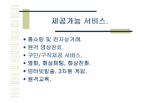 [마케팅] 메가패스 VDSL 마케팅전략-10