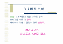 [마케팅] 메가패스 VDSL 마케팅전략-14