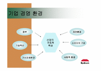 [경영전략론] `교촌치킨`의 경쟁전략 분석-8