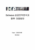 [경영전략론] Bellwave성공전략분석과 향후 대응방안-1