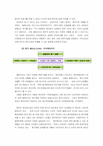 [경영전략론] Bellwave성공전략분석과 향후 대응방안-10