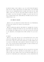 [경영전략론] Bellwave성공전략분석과 향후 대응방안-14