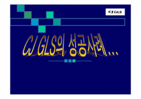 [물류관리]CJGLS의 성공사례분석-1