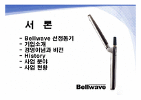 [경영전략론] Bellwave 성공전략분석과 향후대응방안-2