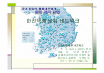 [물류관리론]한진택배의 물류서비스 분석-12