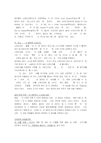 [전략경영] 아웃백스테이크 경영전략분석-13