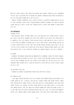 [전략경영] 하이마트 경영전략 분석-10