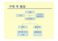[경영이론]고객만족과 귀인이론에 대하여-4