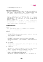 [인사관리][기업사례]LG의 인사제도-18