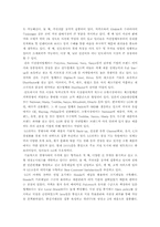 [국제경영] LG전자의 인도네시아진출사례-2