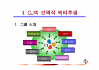[인적자원관리론]선택적 복리후생-CJ그룹-10