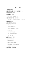 [국제경영] `진로재팬` 일본시장진출 배경 및 성공전략-3