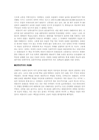 [세계사]유태인 대학살의 배경과 역사적 논의-3