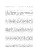 [국제경영] 레인콤 mp3 아이리버(iRiver) 독자적브랜드 해외진출전략-8