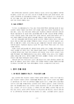 [국제경영](주)농심 신라면의 중국진출전략-8