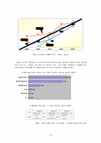 [국제경영](주)농심 신라면의 중국진출전략-14