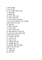 [국제경영] 현대자동차 인도자동차시장진출전략-2