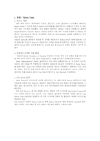 [국제경영] Xerox and Fuji Xerox 제록스와 후지제록스의 문제점및 해결방안-1