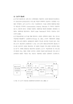 [소비문화]CATV홈쇼핑에 관련된 충동구매행동-6
