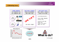 [촉진관리]온라인게임 리니지2 `LineageⅡ` 촉진전략-6